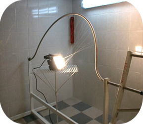 seguridad