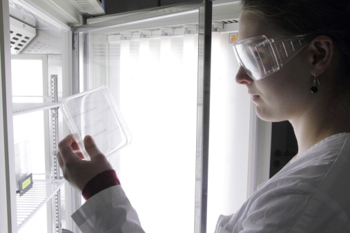 Scientist examining slides in lab